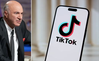 Kevin O'Leary puts $20B TikTok cash offer on the table: 'Most interesting, complicated, crazy situation'