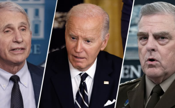 High-profile Dems warned Biden against preemptive pardons before giving Fauci, Milley passes