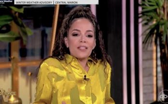 'The View' co-host Sunny Hostin calls President Trump a 'DEI hire'