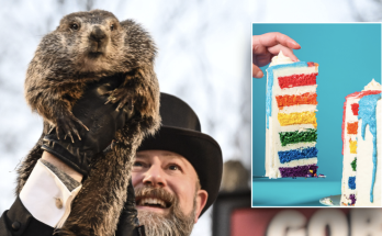 PETA calls to end Groundhog Day tradition, replace Punxsutawney Phil with 'vegan weather reveal cake'