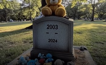 Every Day after 21-Year-Old Son's Death, Grieving Mom Finds Baby Toys on His Grave — Story of the Day