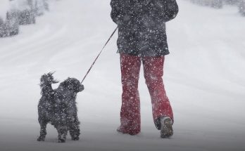 Winter Storm Warnings in Effect in 12 US States – Details