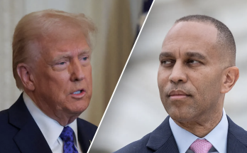 Dems dismiss calls for apology after Jeffries vows 'fight' against Trump agenda 'in the streets'