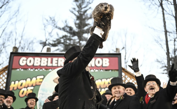 PETA proposes a ‘weather reveal' cake for Groundhog Day in place of Punxsutawney Phil