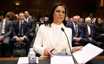 Tulsi Gabbard advances out of Intel Committee in boost to confirmation odds