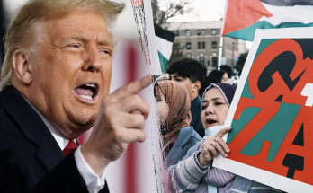 Trump Education Dept launches probe into 'explosion of antisemitism' at 5 universities