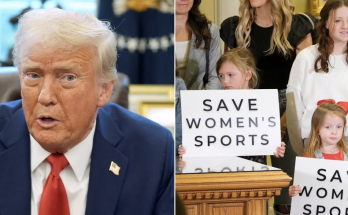 Trump signs 'No Men in Women's Sports' executive order