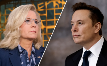 Liz Cheney to Elon Musk regarding her past work at USAID: 'Damn right'