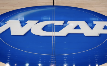 NCAA officially bans trans athletes from women's sports 1 day after Trump signs executive order