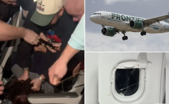 Video shows Frontier passenger tackled after allegedly banging window mid-flight