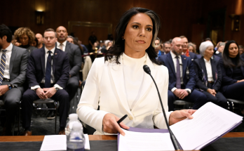 Trump nominee Tulsi Gabbard clears last hurdle, heads for final confirmation vote