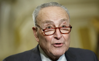 Social media erupts after Schumer opens tipline for whistleblowers to report government 'abuses of power'