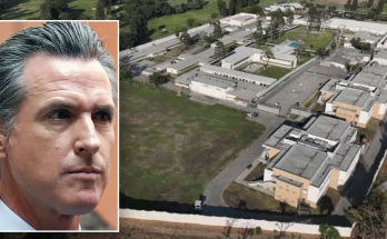 California probation department pleads for Newsom's help supervising violent ex-cons: 'Never been like this'