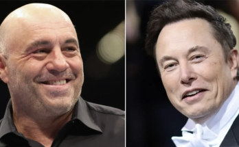 Joe Rogan says 'nitwits' in government 'f---ed up' by locking horns with Elon Musk