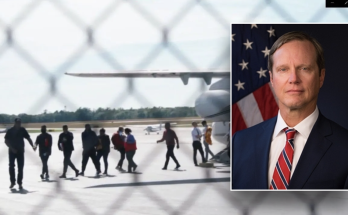 Leader behind migrant flight to Martha's Vineyard tapped to head red state's new immigration board