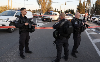 Driver in Israel injures nine in suspected ramming attack: police