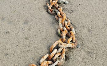 A Poor Boy's Life Changes After He Pulls an Old, Rusty Chain Sticking Out of the Sand on a Remote Beach