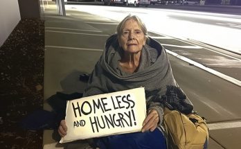 ‘Homeless and Hungry’: The Sign Held by a Homeless Woman I Took In, Only to Be Kicked Out of My Own Home the Same Day — Story of the Day