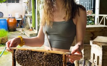 Our Late Father Left Me Only an Apiary While My Sister Took the House and Shut Me Out, but One Beehive Hid a Game-Changing Secret — Story of the Day