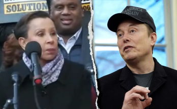 House Dem blasted for 'unhinged' Elon Musk rant telling him to 'Go back to South Africa'