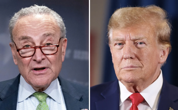 Chuck Schumer will vote to keep government open: 'For Donald Trump, a shutdown would be a gift'