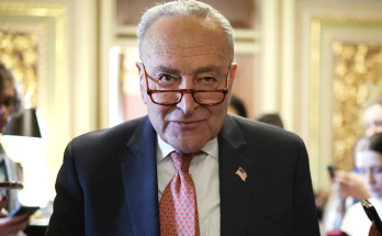 Chuck Schumer will vote to keep government open: 'For Donald Trump, a shutdown would be a gift'