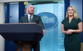 UFC star Conor McGregor critical of Irish government ahead of President Trump meeting: 'Zero accountability'