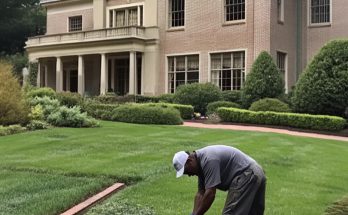 Boss Fires Poor Gardener, Humiliating Him—On His Last Day, He Finds a Buried Box in the Backyard