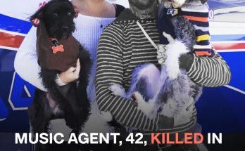 Music Agent Dave Shapiro Dies at 42 in Fatal San Diego Plane Crash — Details