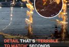Mexican Navy Tall Ship Cuauhtémoc Hits the Brooklyn Bridge — One Detail before Crash Catches People's Attention