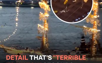 Mexican Navy Tall Ship Cuauhtémoc Hits the Brooklyn Bridge — One Detail before Crash Catches People's Attention