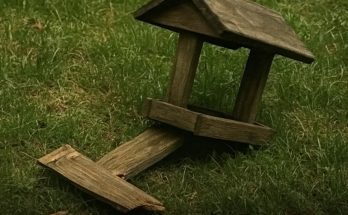 ​​For Years My Grumpy Neighbor Made My Life Miserable Then I Walked Into His House and Saw the Unthinkable — Story of the Day