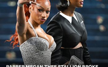 Rapper Megan Thee Stallion Accused Of Breaking Met Gala Rules