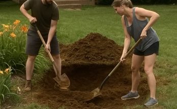 I Came Home to My Husband and His Ex Digging My Garden – What They Hid Years Ago Made Me Pale