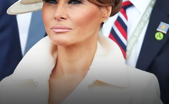 See How Melania Trump's Appearance Has Evolved — The Change Is More Dramatic Than You'd Think