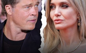 Brad Pitt Breaks Silence on Finalizing Divorce from Angelina Jolie After 8-Year Battle