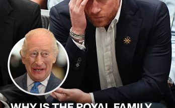 Prince Harry’s Bombshell Interview: Why the Royal Family Is Ignoring Him & the One Reason That Could Lead to Reconciliation