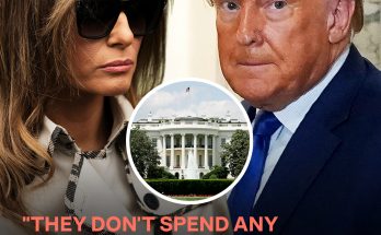 Why an Author Says Melania and Donald Trump Are 'Separated' — Inside the First Lady's Long Absence from the White House