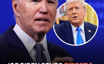 Joe Biden Speaks Out on President Donald Trump's First 100 Days in Office