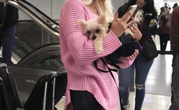 Entitled Dog Owner Made the Airport Hell for Everyone – She Deserved What I Did at the Gate