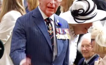 King Charles's Nervous Questions During the 80th Anniversary Commemoration of VE Day Revealed by a Lipreader