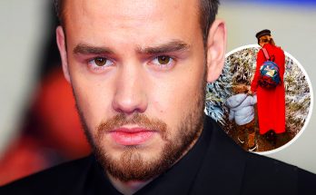 What Could Liam Payne's Son Bear, 8, Inherit from His Dad After the 'One Direction' Star Left No Will