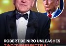 Robert De Niro Mentions Donald Trump During His Palme d'Or Acceptance Speech at the 2025 Cannes Film Festival