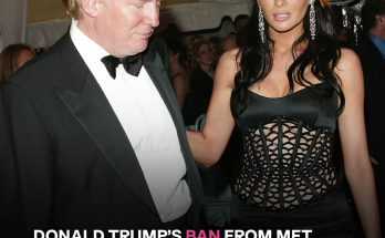 Details About Donald Trump Not Being Invited Back to the Met Gala Resurface - What Happened