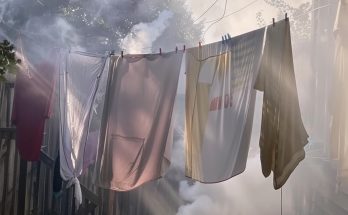 My Neighbor Started a Barbecue Every Time I Hung Laundry Outside Just to Ruin It