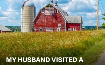 My Husband Visited a Farm Every Month Until I Followed Him and Was Shocked to Discover What It Was Really About — Story of the Day