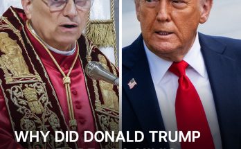 Pope Leo XIV Broke a Major Rule During His Popemobile Entrance – Inside the Pontiff's Inauguration