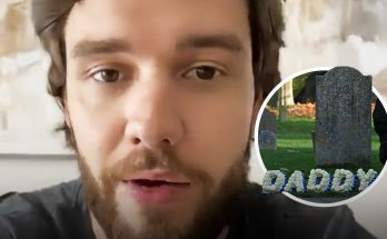What Could Liam Payne's Son Bear, 8, Inherit from His Dad After the 'One Direction' Star Left No Will