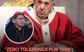 Conclave 2025: Two of Pope Francis' Possible Successors Uncovered — One of Them Has an Unexpected Hobby
