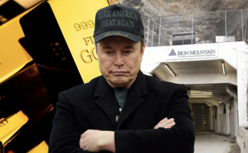 Elon Musk no longer working on DOGE efforts from White House: report